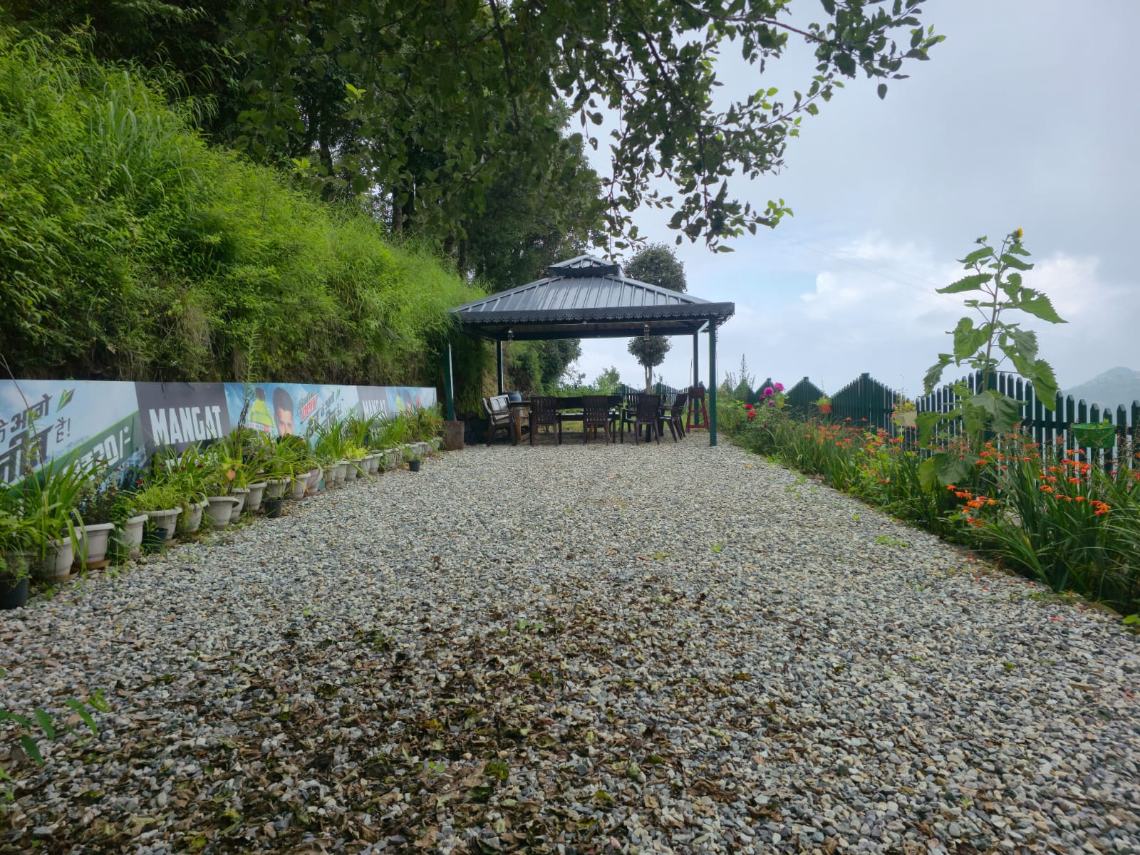 Farm fresh food at Mangat Farms